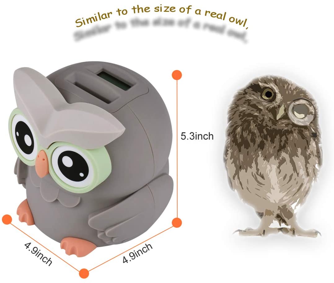 Owl Digital Coin Bank